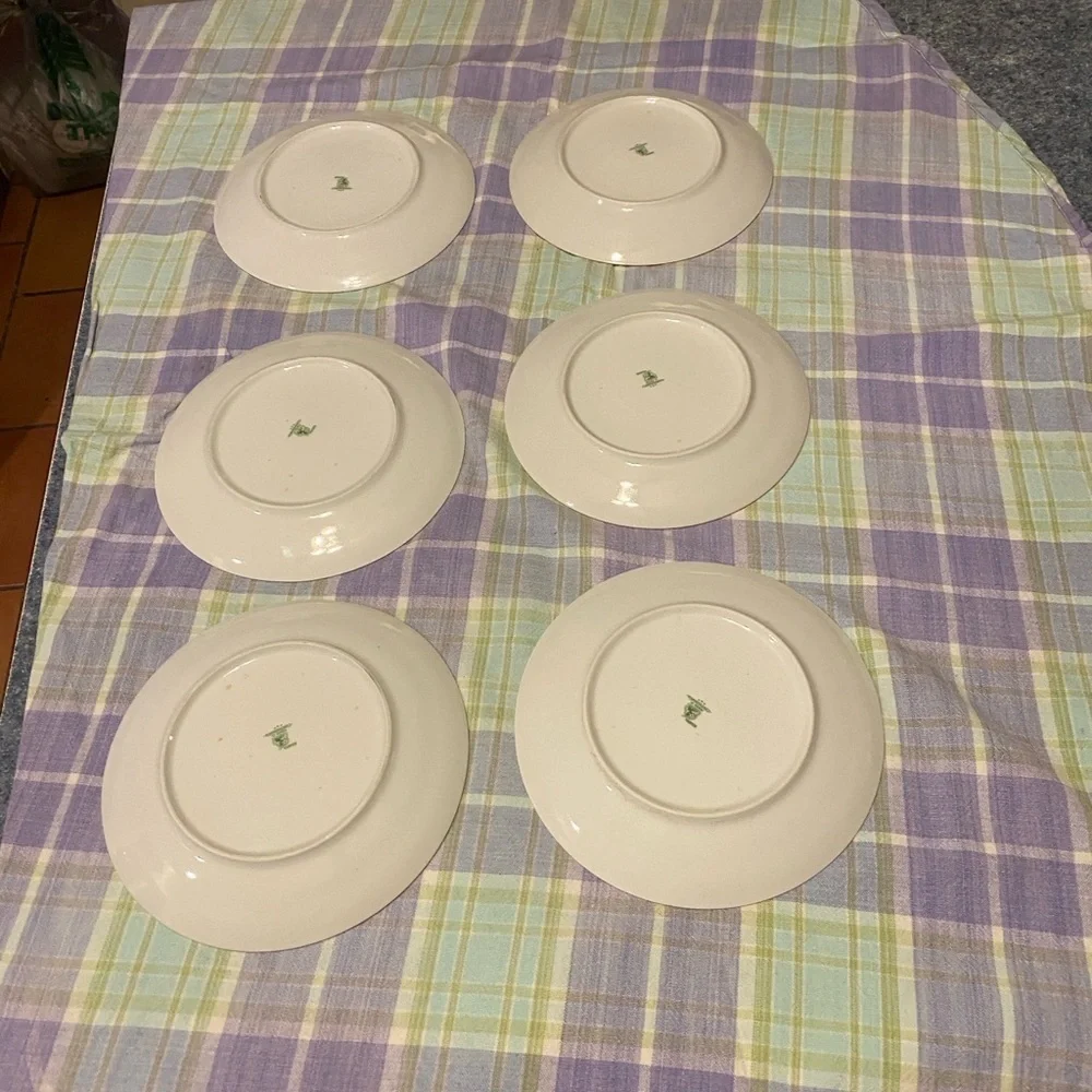 Bohemia Fruit Painted Plate Set of 6